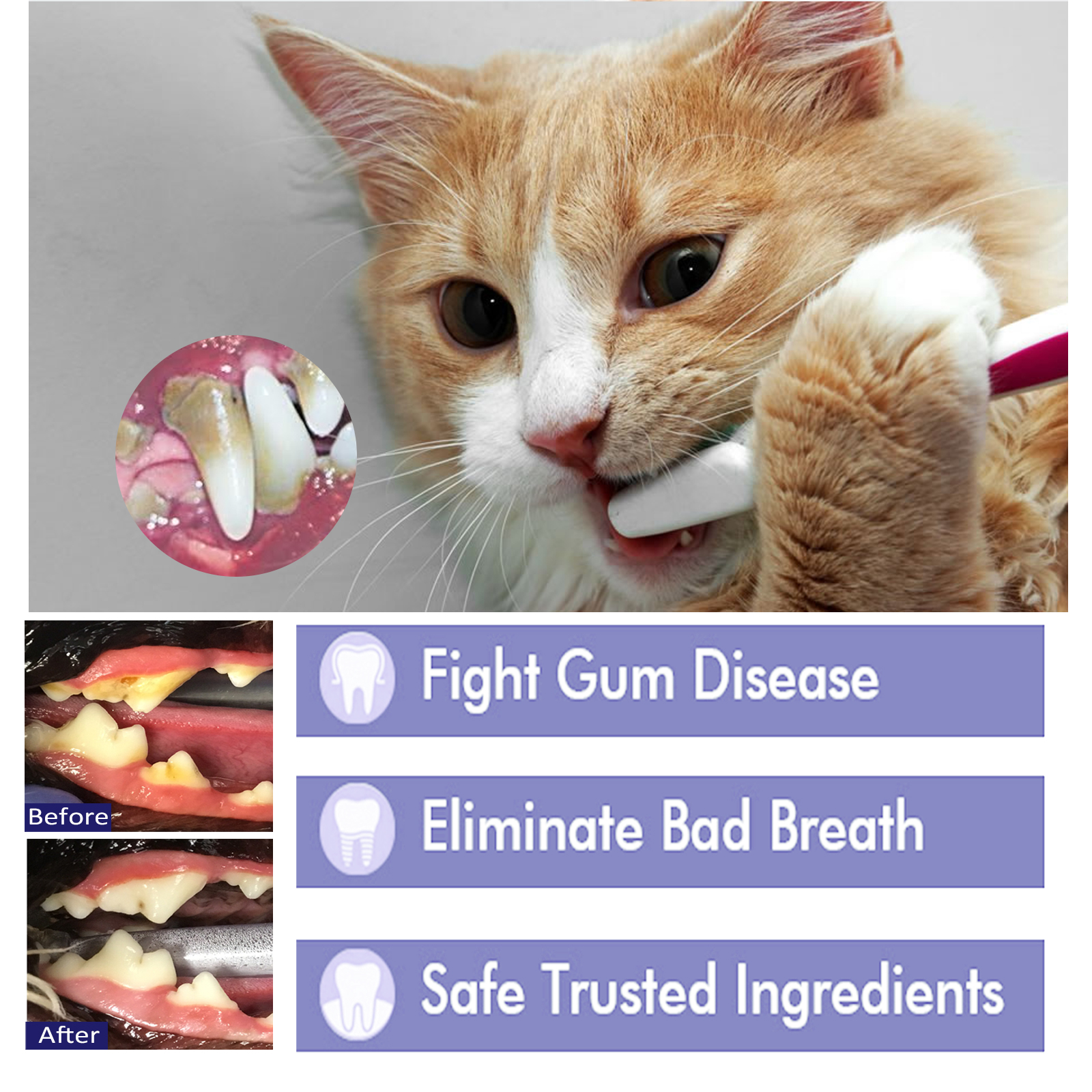 Pet Toothpaste Reduce Tartar R - مراجعة Teeth Whitening Toothpaste وسعره