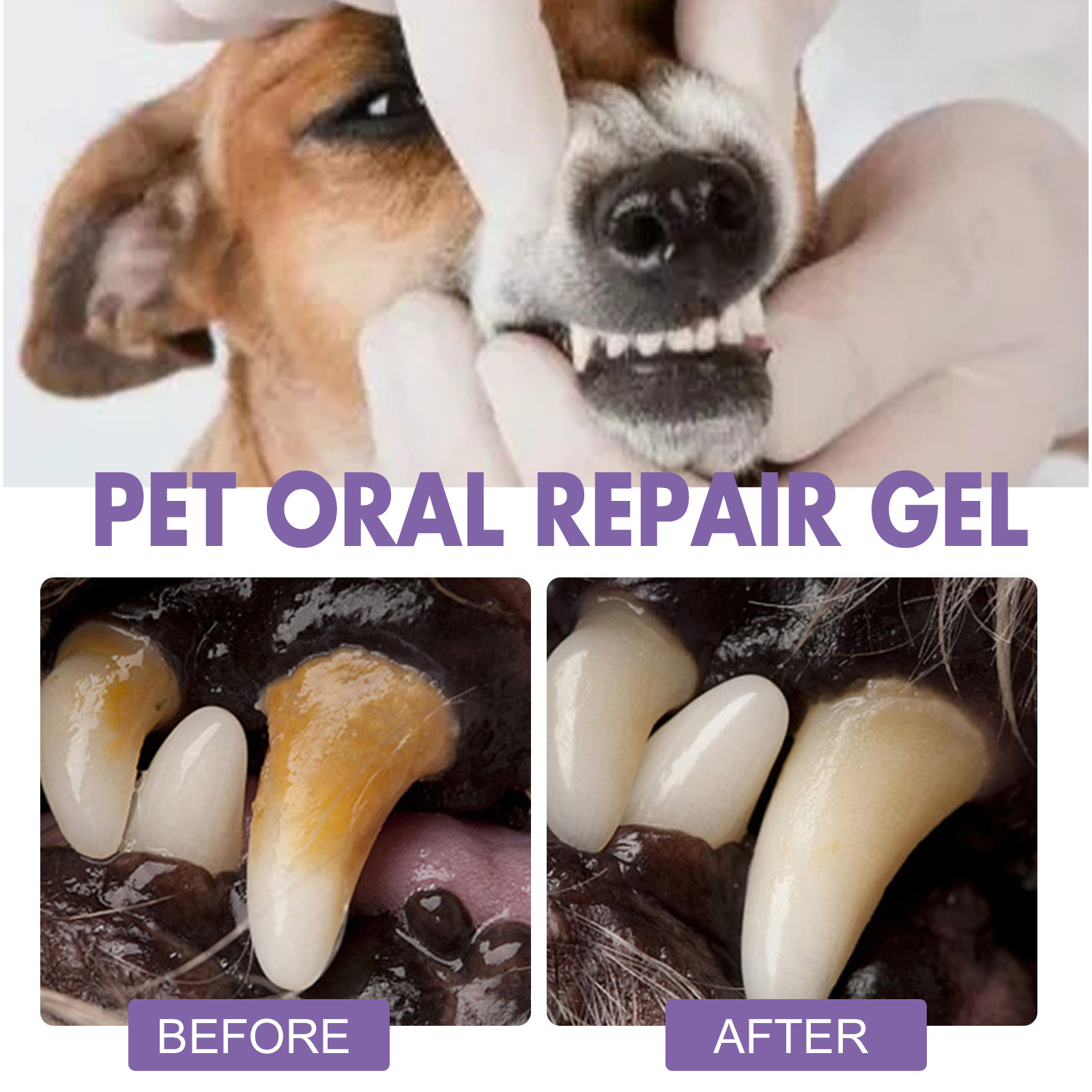 Pet Oral Repair Gel Puppy Tart - مراجعة Teeth Whitening Paste وسعره