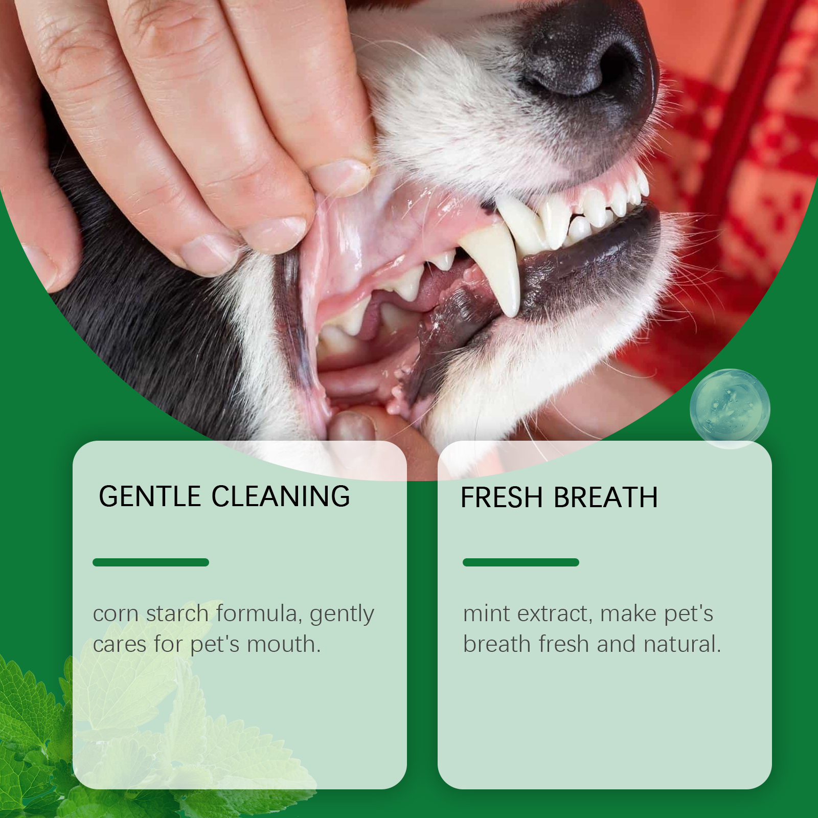 Pet Teeth Cleaning Powder Redu - مراجعة Teeth Whitening Near Me وسعره
