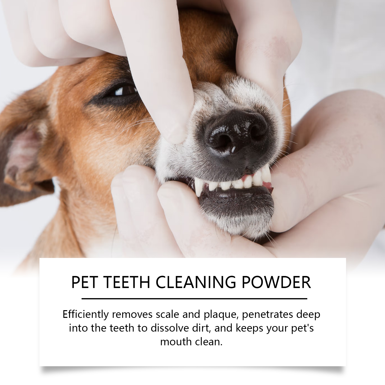 Pet Teeth Cleaning Powder Redu - مراجعة Teeth Whitening Near Me وسعره