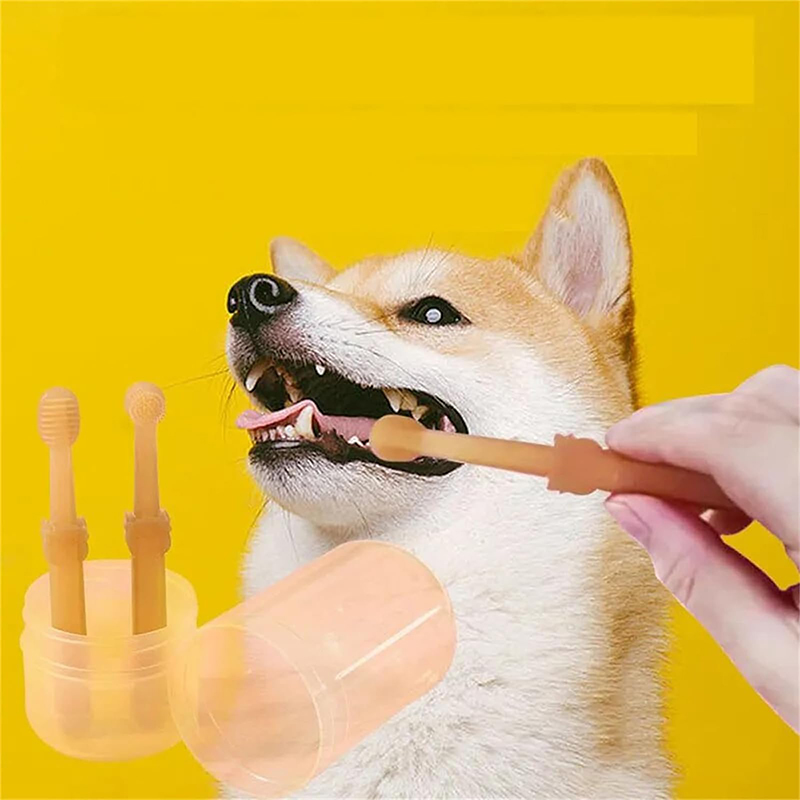 Teeth Whitening Dog Cat Silico - مراجعة Teeth Whitening Toothpaste وسعره